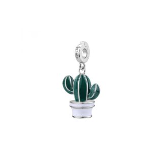 charm-pianta-grassa-rosato-rz248r-product-spallucci-1