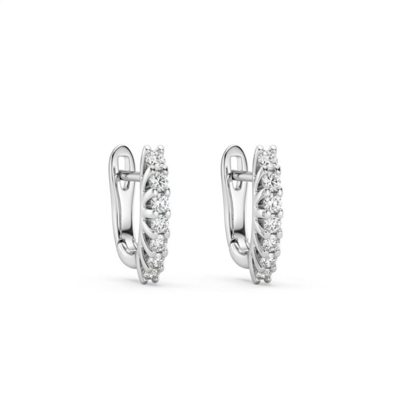 orecchini-cerchio-davite-e-delucchi-bb007782-product-spallucci-1